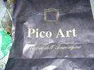 P1000671picoart.JPG